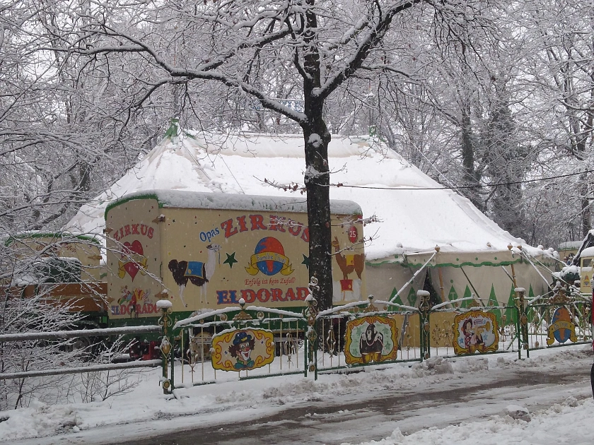 Zirkus Bild 1