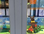 Schaufenster